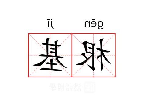 根基 意思